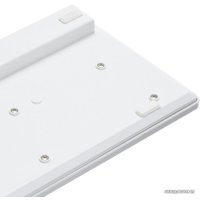 Клавиатура Оклик 500M (белый)