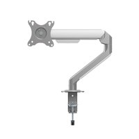 Кронштейн для монитора ErgoSmart Space Grey (матовый серебристый)