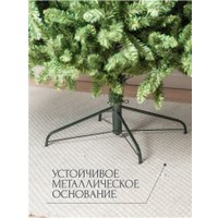 Ель Royal Christmas Washington Promo 98180 1.8 м