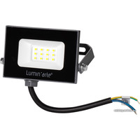 Уличный прожектор Luminarte LFL-10W/05