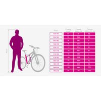 Велосипед Stark Madness BMX 1 2025 (ярко-синий/красный/черный)