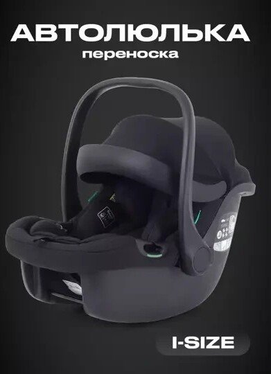 

Детское автокресло Rant Carry 2.0 AY329 (черный)