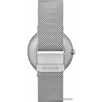 Наручные часы Skagen SKW6584