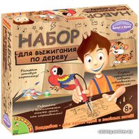 Набор для выжигания Bondibon Выжигательный аппарат с дощечкой и красками ВВ1413