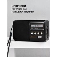 Радиоприемник Wster WS-2319 (черный)