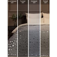 Плед Tex Republic Shick Звезды лазер Евро 93437 (серебристый/серый)