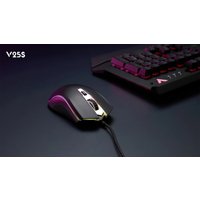 Игровая мышь Rapoo V25S 2022 (черный)