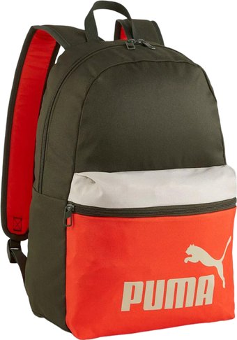 Спортивный рюкзак Puma Phase Backpack 09046803 (черный/красный)