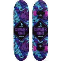 Скейтборд Onlitop Summer Night 4013657