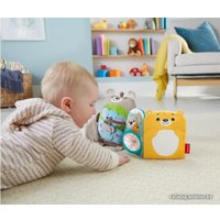 Интерактивная игрушка Fisher-Price Мягкая обучающая книга GJD37