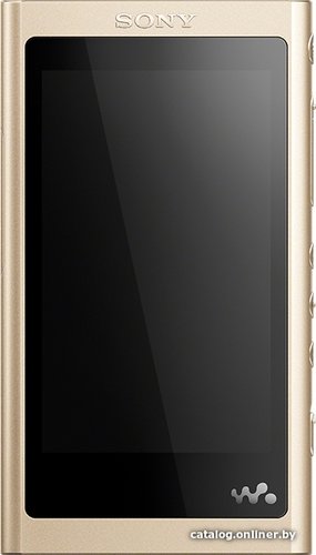 Sony NW-A55 16GB (золотистый)