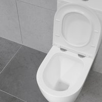 Унитаз напольный Lauter Vortex 2110022VF + гигиенический душ Sano 21LT1294GL