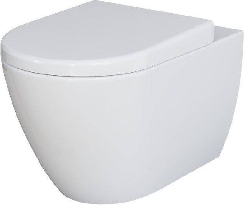 

Унитаз подвесной Ambassador Queen 113T20001R (белый, с толстым сиденьем)