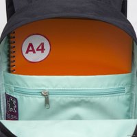 Городской рюкзак Grizzly RXL-327-3 (черный/мятный)