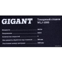 Токарный станок Gigant WLJ-1000