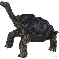 Фигурка Masai Mara Мир диких животных. Звезчатая черепаха MM218-372