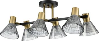 Lumion Moderni Anriya 8044/6C