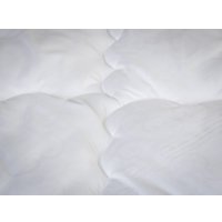 Одеяло PROxSON Классическое 172x200