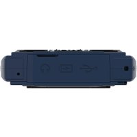 Кнопочный телефон Maxvi T19 (синий)