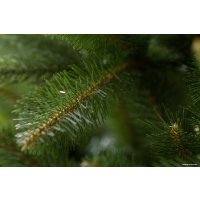 Ель GreenTerra Натурелли 2.2 метра