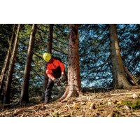 Аккумуляторная пила Metabo MS 36-18 LTX BL 40 601613850 (без АКБ) в Барановичах