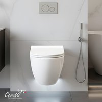 Унитаз подвесной Cerutti Amici Aria Tornado CT11388