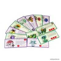 Настольная игра Правильные игры Эволюция. Трава и грибы (дополнение) 13-01-07