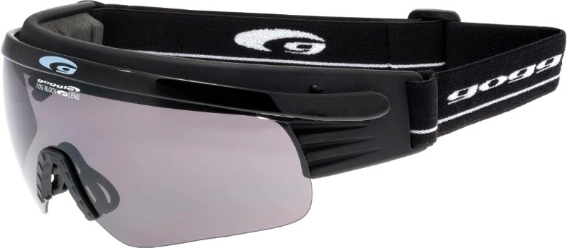 

Лыжи Goggle T325-1