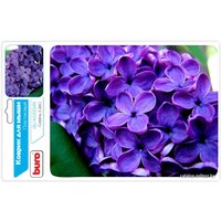 Коврик для мыши Buro BU-M20049