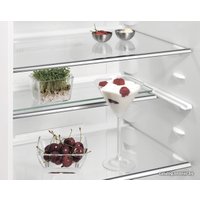 Однокамерный холодильник AEG SKE818E1DC