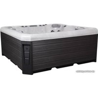 Композитный бассейн Wellis Malaga Spa Standard в Борисове