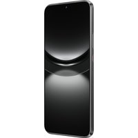 Телефон Huawei nova 12s FOA-LX9 8GB/256GB (черный)