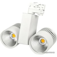 Трековый светильник Arlight LGD-2271WH-2x30W-4TR Warm White 022055