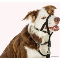 Недоуздок Halti Headcollar Size 2 (черный)
