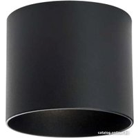 Точечный светильник Lightstar Rullo 213487