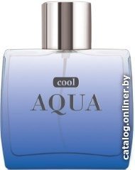 Туалетная вода Dilis Parfum Cool Aqua EdT 100 мл