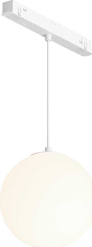 

Трековый светильник Maytoni Technical Luna TR039-2-5W4K-W