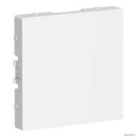 Декоративная заглушка Schneider Electric ATN000109