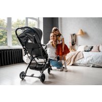 Коляска прогулочная «книга» Xo Kid Ride Gold (black-G)