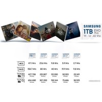 Карта памяти Samsung EVO Plus 2024 microSDXC 128GB (с адаптером)