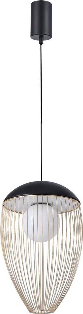 

Подвесная люстра Favourite Core 4241-1P