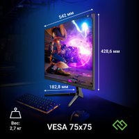 Игровой монитор Digma Overdrive 24P410F (черный)