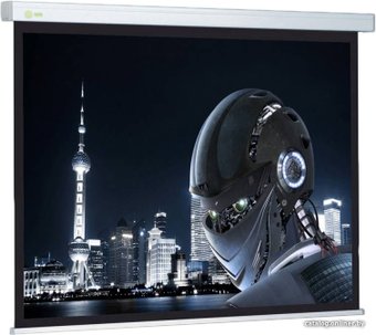 Проекционный экран CACTUS Wallscreen CS-PSW-128x170