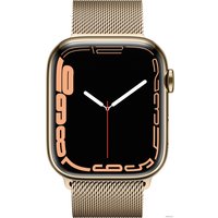 Умные часы Apple Watch Series 7 LTE 45 мм (сталь золото/миланский золотой)