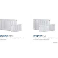 Стальной панельный радиатор Brugman Tип 22 500x100x1800 FEV220501801UBY (нижнее подключение)