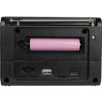 Радиоприемник Ritmix RPR-020