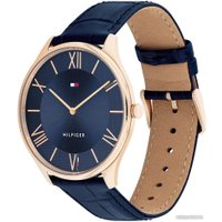 Наручные часы Tommy Hilfiger Becker 1710517