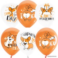 Набор воздушных шаров ПатиБум White&Orange. Корги. С днем рождения М12/30см 4690296072292 (25 шт)