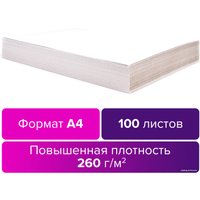 Набор белого картона BRAUBERG Для подшивки документов 124877 (100 л)