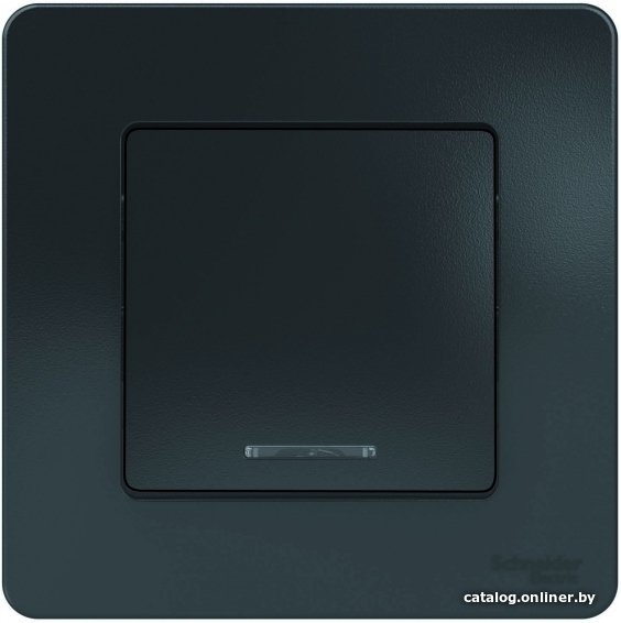 Выключатель Schneider Electric BLNVS010116